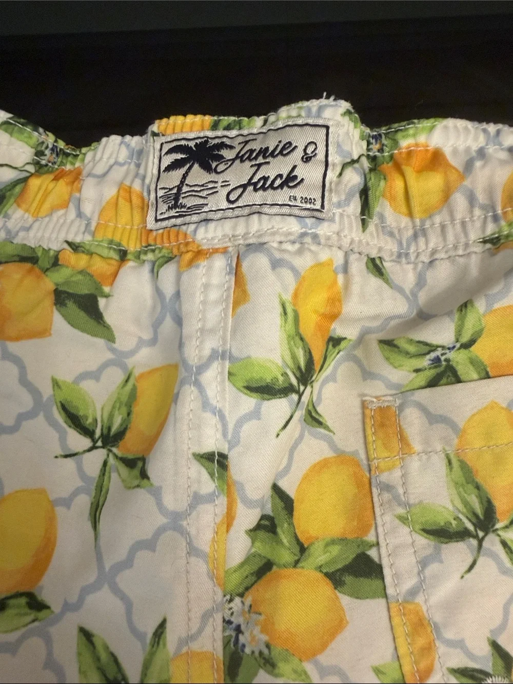 Boys size 5 Janie and Jack White Lemon Print Swim Shorts